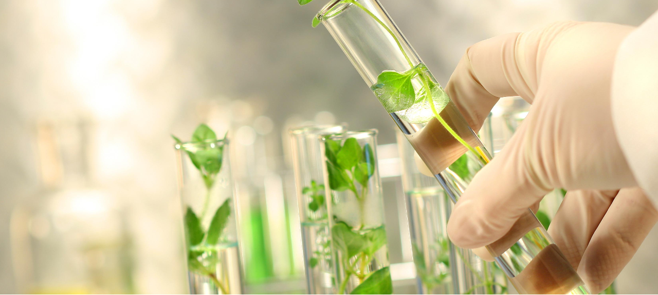 Curso de Inverno Faculdade Pitágoras - Técnicas de extração e isolamento de produtos naturais
