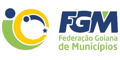 Imagem do Organizador