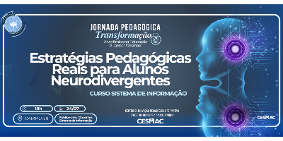 Imagem do Organizador
