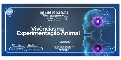 Imagem do Organizador