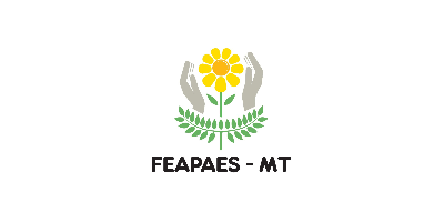 Imagem do Organizador