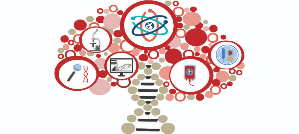 I Simpósio do Programa de Pós Graduação em Hematologia