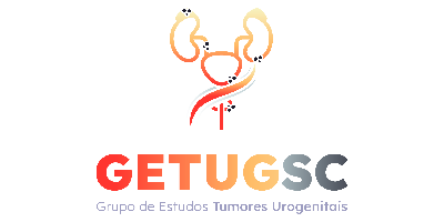 Imagem do Organizador