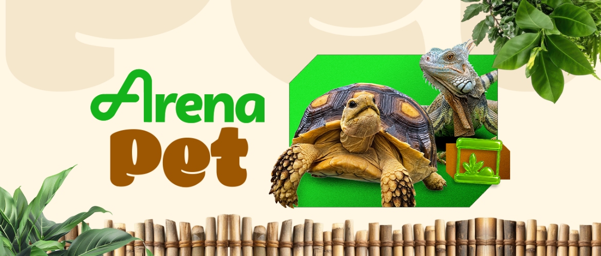 Evento