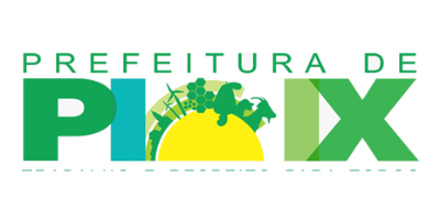 Imagem do Organizador