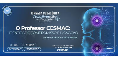 Imagem do Organizador