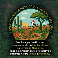 Imagem do Organizador