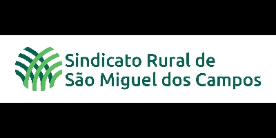 Imagem do Organizador