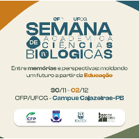 Imagem do Organizador