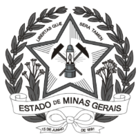 Imagem do Organizador
