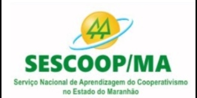 Imagem do Organizador