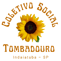 Imagem do Organizador
