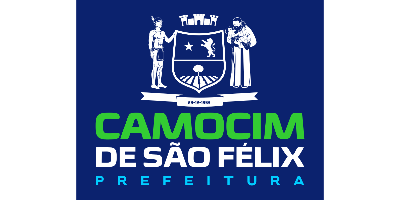 Imagem do Organizador