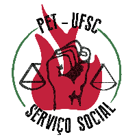 Imagem do Organizador