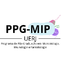 Imagem do Organizador