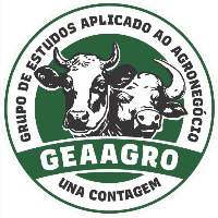 Imagem do Organizador