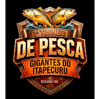 Imagem do Organizador