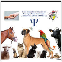 Imagem do Organizador