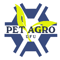 Imagem do Organizador