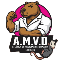Imagem do Organizador