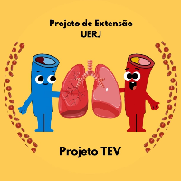 Imagem do Organizador