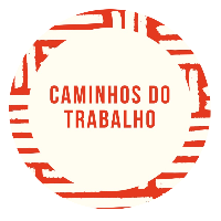 Imagem do Organizador
