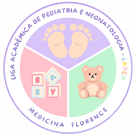 Imagem do Organizador