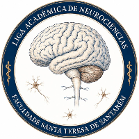 Imagem do Organizador