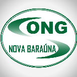 Imagem do Organizador