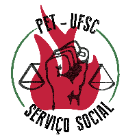 Imagem do Organizador