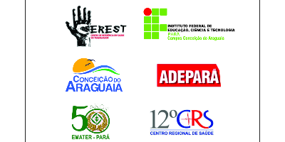 Imagem do Organizador