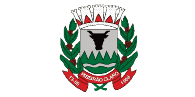 Imagem do Organizador