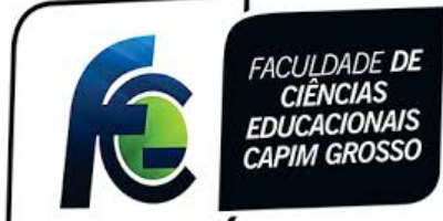 Imagem do Organizador