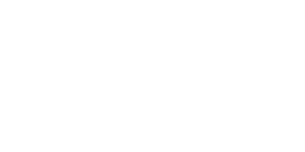 Imagem do Organizador