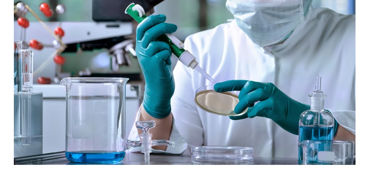 Técnicas Moleculares e Microbiológicas