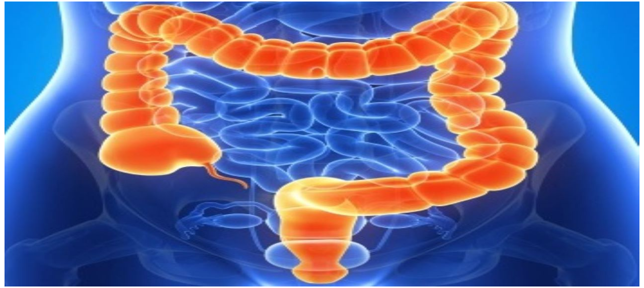 I Workshop de Doenças Inflamatórias Intestinais do Hospital das Clinicas de São Paulo