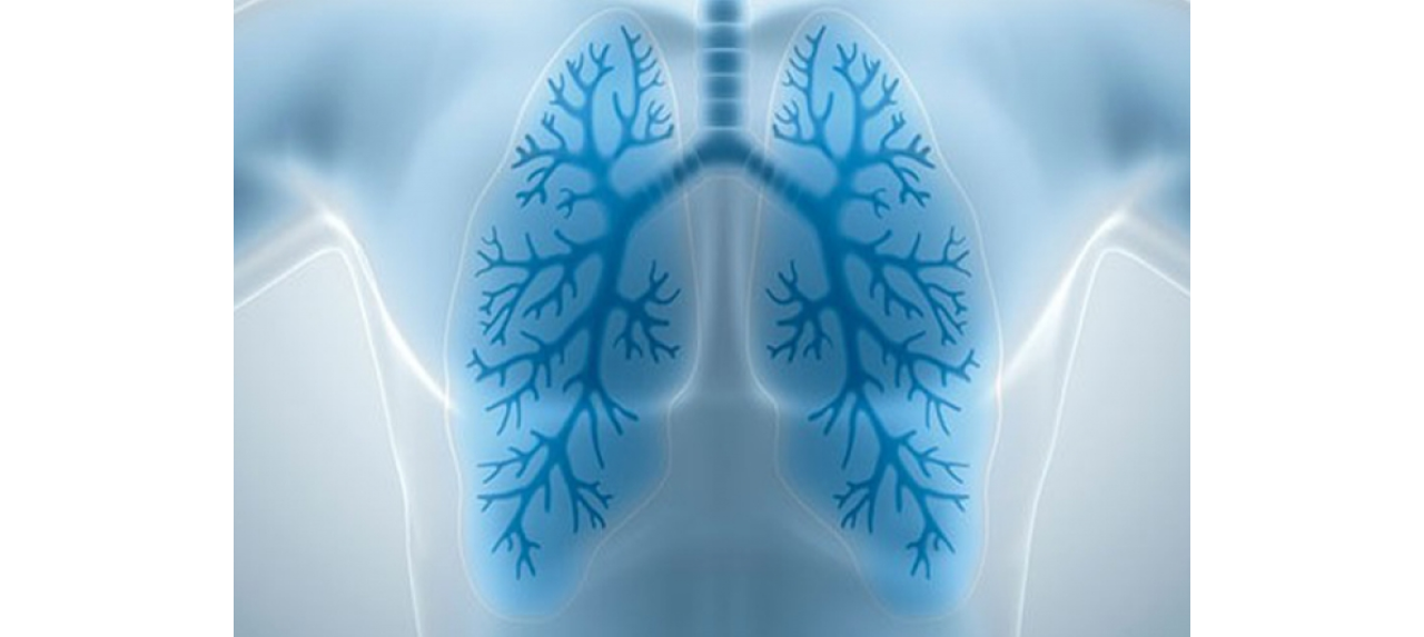 Palestra: Evidências Científicas da Atuação do   Fisioterapeuta na Reabilitação Pulmonar
