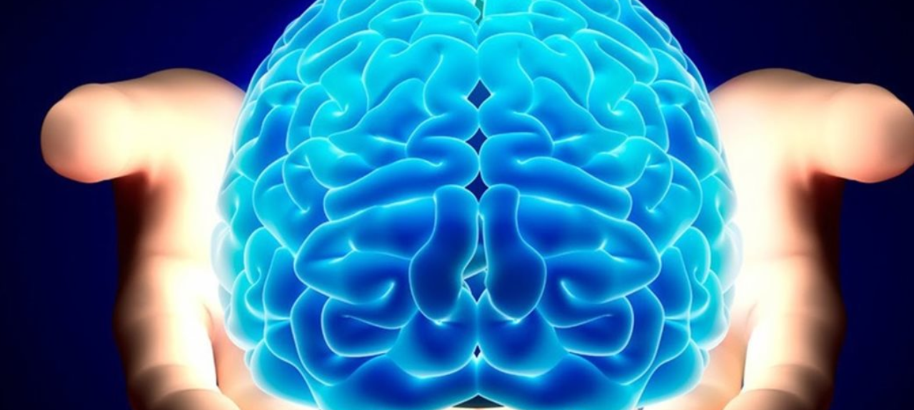 III Curso Introdutório da Liga de Neurologia e Neurociências da UFF