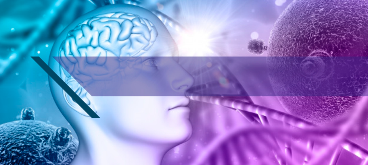 I CURSO DE ATUALIZAÇÃO EM NEUROCIÊNCIAS - Aula 03