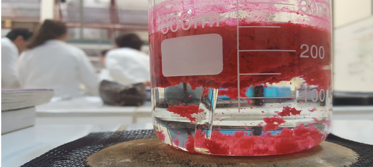 I Semana Acadêmica da Engenharia de Bioprocessos e Biotecnologia - SAEBB