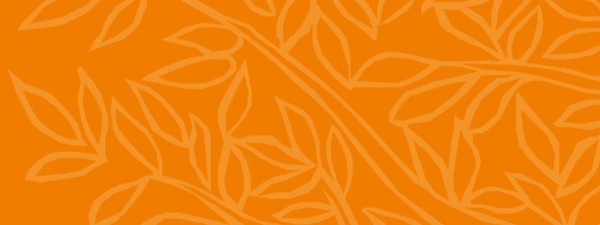 Workshop Scopus, ScienceDirect e Mendeley na USP Bauru