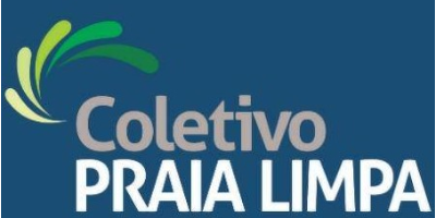 Imagem do Organizador