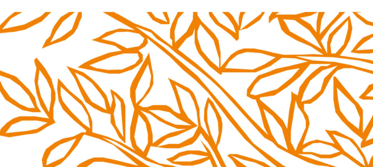 Workshop Scopus, ScienceDirect e Mendeley na USP