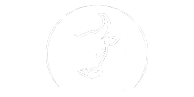 Imagem do Organizador