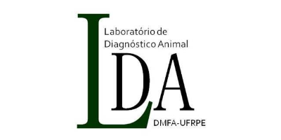 Imagem do Organizador