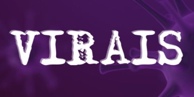 Imagem do Organizador