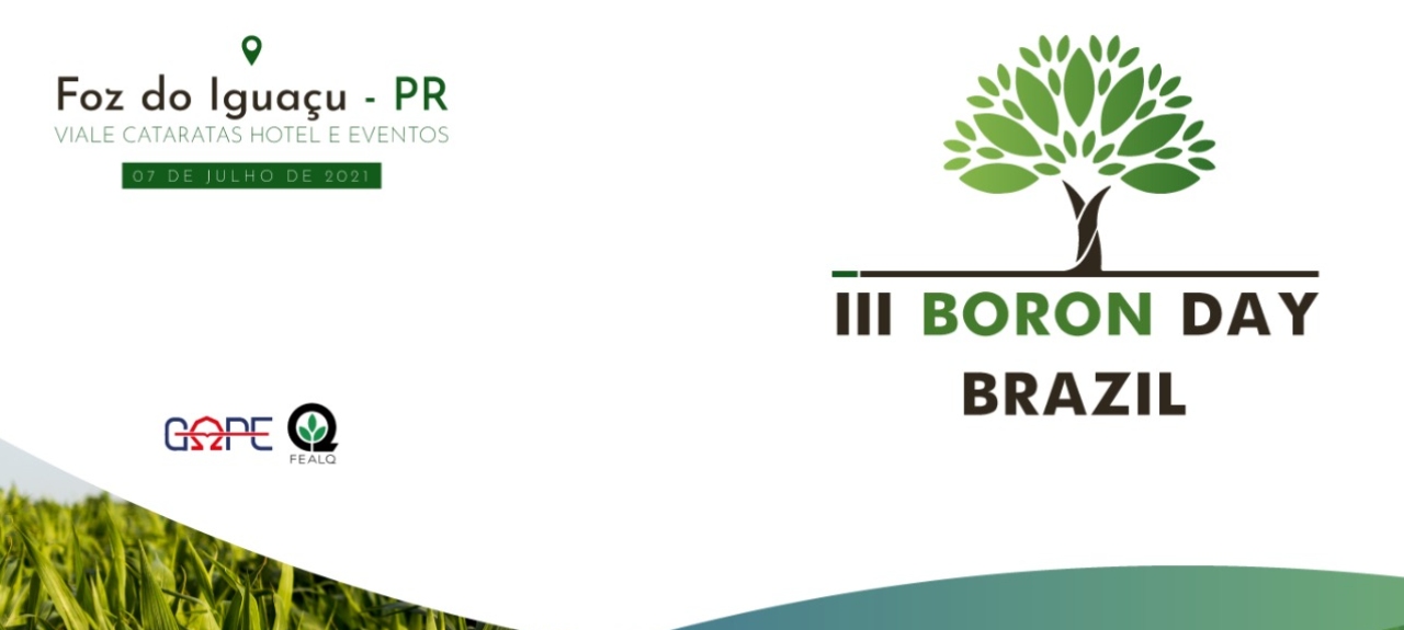 III BORON DAY (103625)