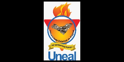 Imagem do Organizador