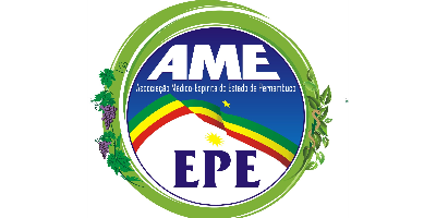 Imagem do Organizador