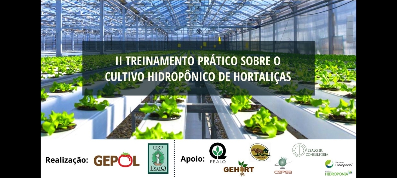 2º TREINAMENTO SOBRE O CULTIVO HIDROPÔNICO DE HORTALIÇAS - 2020 (103693)